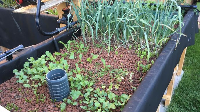 En fin d’automne 2018, un prototype de l’installation de Noémie est déjà en fonctionnement. ©Noémie Charpentier